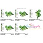 Mom And Baby Turtle Embroidery Design Pattern-2