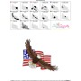 4th of July Patriotic Bald Eagle Flag-3 Embroidery Design Pattern-2