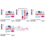 All American Girl Patriotic Embroidery Design Pattern-2