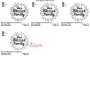 One Blessed Family Lettering Embroidery Design