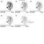 Quick Stitch Horse - 8 Embroidery Design