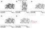 Quick Stitch Horse - 10 Embroidery Design