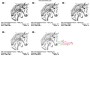 Quick Stitch Horse - 7 Embroidery Design