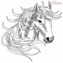 Quick Stitch Horses Embroidery Design Bundle