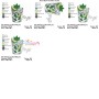 Mojito Cocktail Embroidery Design
