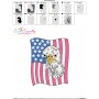 4th of July American Flag With Eagle Embroidery Design
