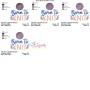 Born To Knit Embroidery Design