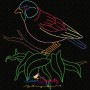 Colorful Vintage Bird-6 Embroidery Design Pattern-4