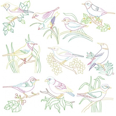Colorful Vintage Birds Embroidery Design Bundle-1