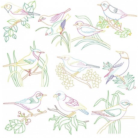 Colorful Vintage Birds Embroidery Design Pattern Bundle-1
