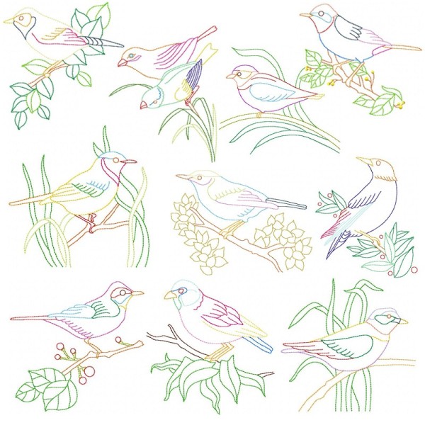Colorful Vintage Birds Embroidery Design Bundle-1