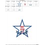 4th of July Star-2 Patriotic Applique Design Pattern-2