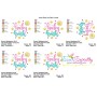 Baby Bash Lettering Embroidery Design Pattern-2