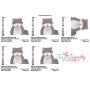 Persian Cat Embroidery Design Pattern-2