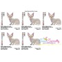 Sphynx Cat Embroidery Design Pattern-2