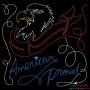 American Proud Patriotic Colorwork Block Embroidery Design Pattern-1
