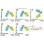 I Love You- Dinosaur Couple Valentine Embroidery Design Pattern-2