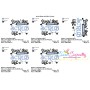 Living The Scrub Life Medical Lettering Embroidery Design Pattern-2