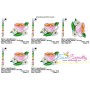 Cup And Flowers-7 Embroidery Design Pattern-2